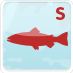 <img src="/uploads/societe/infrastructures/1354006077poissons-salmonides-png.png" alt="Poissons présents - Salmonidés" width="73" height="73" align="left" style="margin-right: 10px;" /> Les parcours proposés par la société de pêche accueillent des populations de salmonidés (truites). Poissons présents - Salmonidés